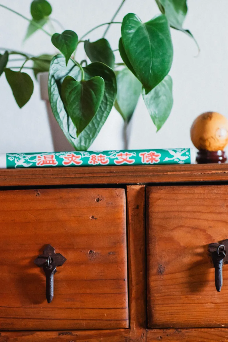 Wellness Medical Center interior