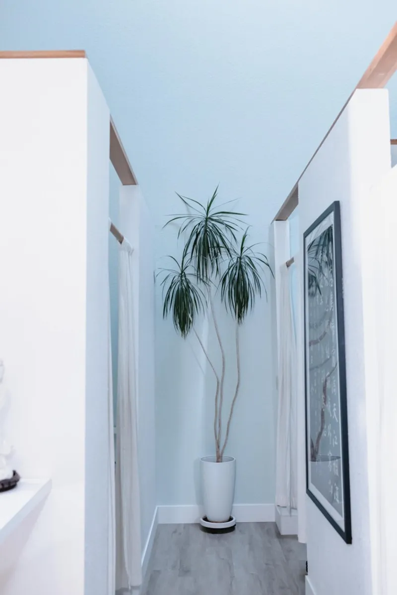 Wellness Medical Center back office